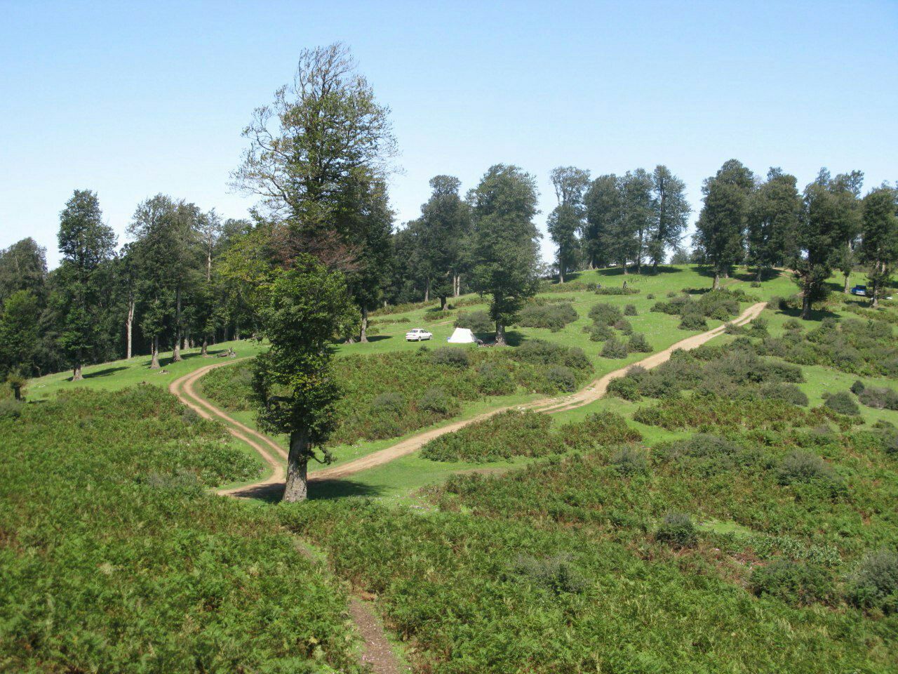 رستم آباد گیلان، رستم آباد، رستم آباد رودبار، گردشگری رستم آباد، جاذبه های رستم آباد، طبیعت گردی رستم آباد گیلان، مناطق دیدنی رستم آباد، جاهای دیدنی رستم آباد گیلان